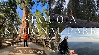 sequoia national park cinematic video: hiking, tunnel log, and moro rock | 30 BEFORE 30