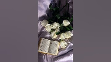 القرآن الكريم راحة نفسية #تلاوة_خاشعة #قرآن #قران_كريم #تعليق #اكسبلور #لايك #مشاركة #إشتراك