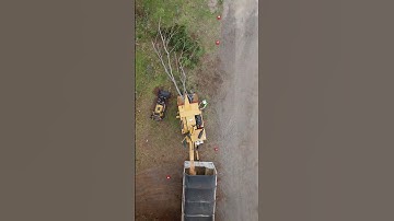 #arboristlife #treecare #arborist #adventure