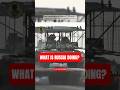T-72B3 “Dikobraz”: Russia’s Creative Answer to FPV Drone Threats #t72tank #satire #shorts