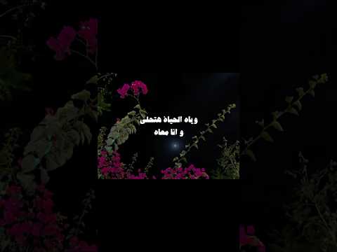 وياه الحياه هتخلي وانا معاه عمرو دياب وياه