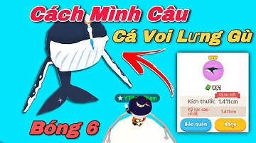 PLAY TOGETHER | Cách Mình Câu Cá Voi Lưng Gù Bóng 6 Khổng Lồ | Ka Phạm Gaming