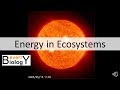 Ecosystem Dynamics and Food Webs