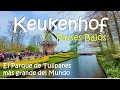 Keukenhof el parque de Tulipanes más grande del Mundo en los Países Bajos.