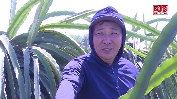 Xuân Lộc bứt phá trong xây dựng nông thôn mới