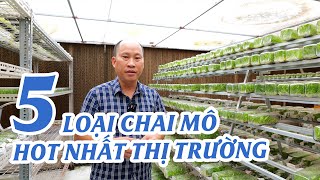 5 LOẠI CHAI MÔ HOT NHẤT THỊ TRƯỜNG #hoalangiong