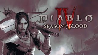 Diablo 4 Season 2 / Rouge / 3 /35-40Lvl / Cathedral of Light-The Curator