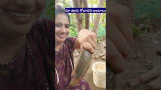 మా గౌతమి గోదావరి అందాలు 👌❤️