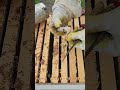 Installing a new package of bees. #bees #beekeeping