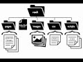 {Web-D 01} File and folder structure