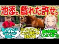 オルフェーヴル ← 怒ってないんだよな怒ってないんだよな…？に対するみんなの反応！【競馬 の反応集】