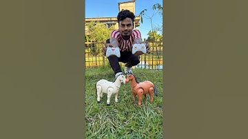 Remote Control Rc 2 Ta horse Unboxing And Testing