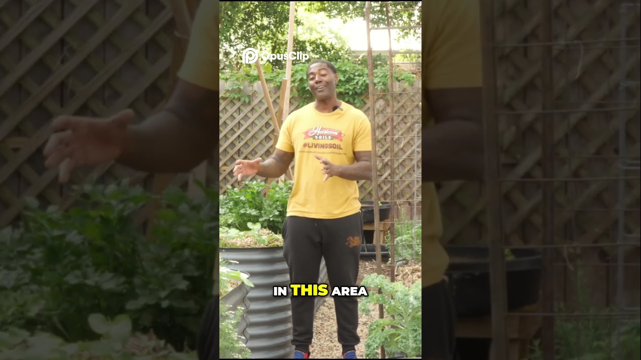 Pesticide Free Gardening  Save the Bees!