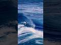 Dangerous Beauty #nature #ocean #waves #shorts