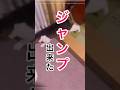 ジャンプ出来たよ！#寝たきり #四肢麻痺 #リハビリ #ねこ #shorts