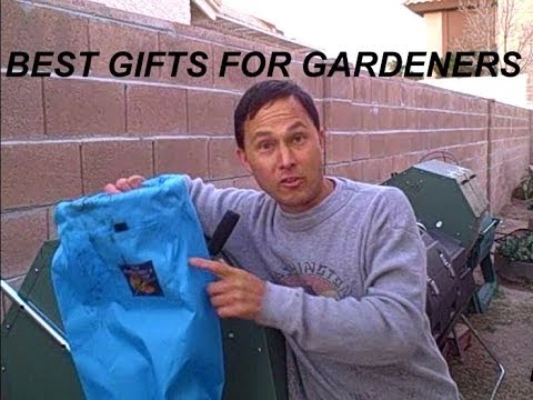 Videó: Zöld hétfői ajándékötletek – Last Minute karácsonyi kerti vásárlás