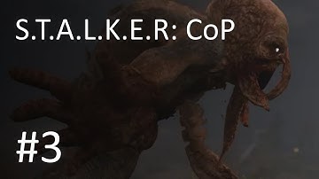 STALKER: Call of Pripyat #3- Bloodsucker