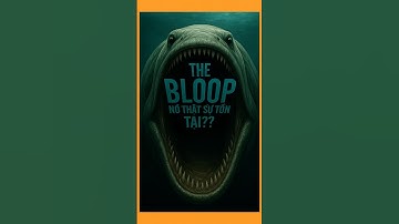 The Bloop Có Thật Không | Tiếng Kêu Kỳ Lạ Từ Biển Sâu Khiến Cả Thế Giới Hoang M