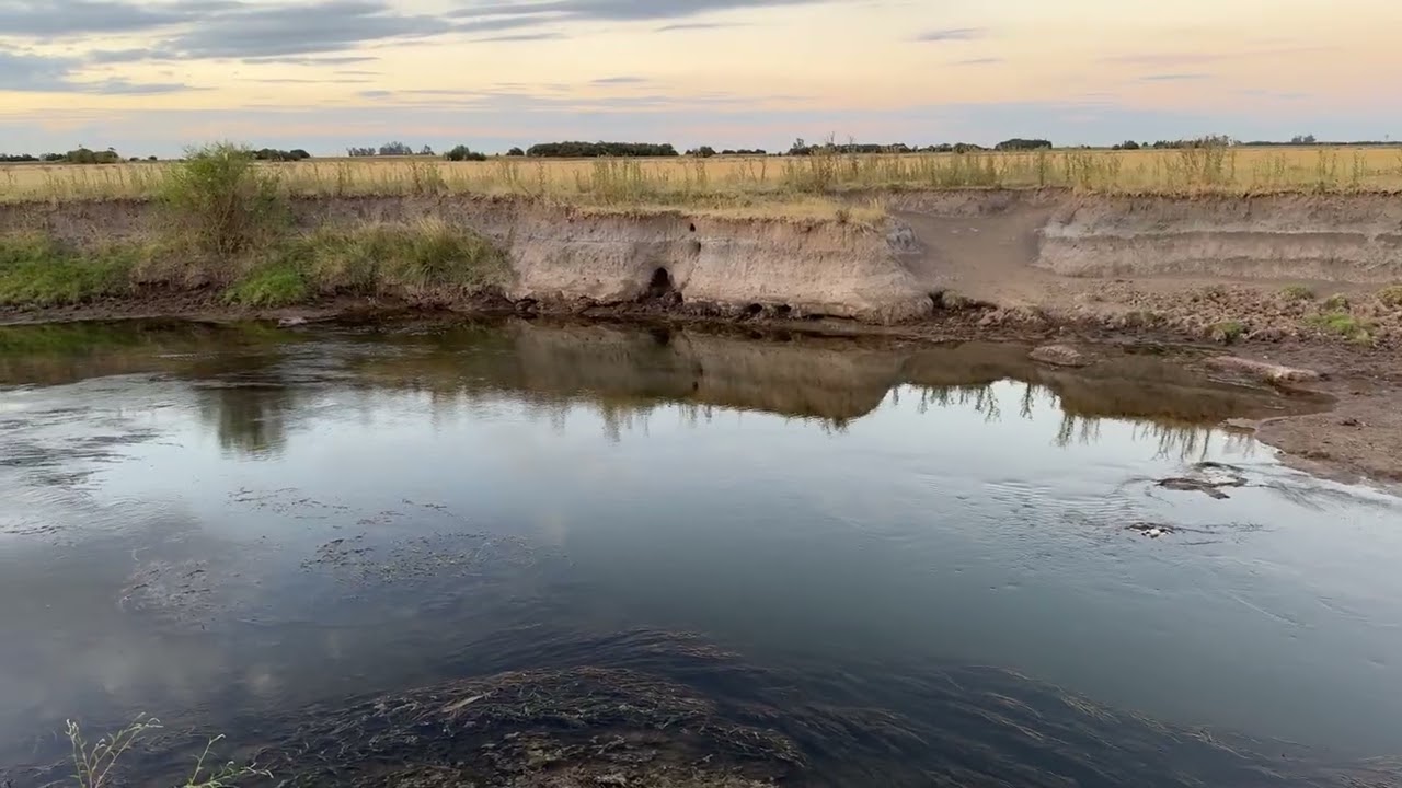 Argentina Countryside Walk at Sunset 🇦🇷 | Natural Sounds 4K