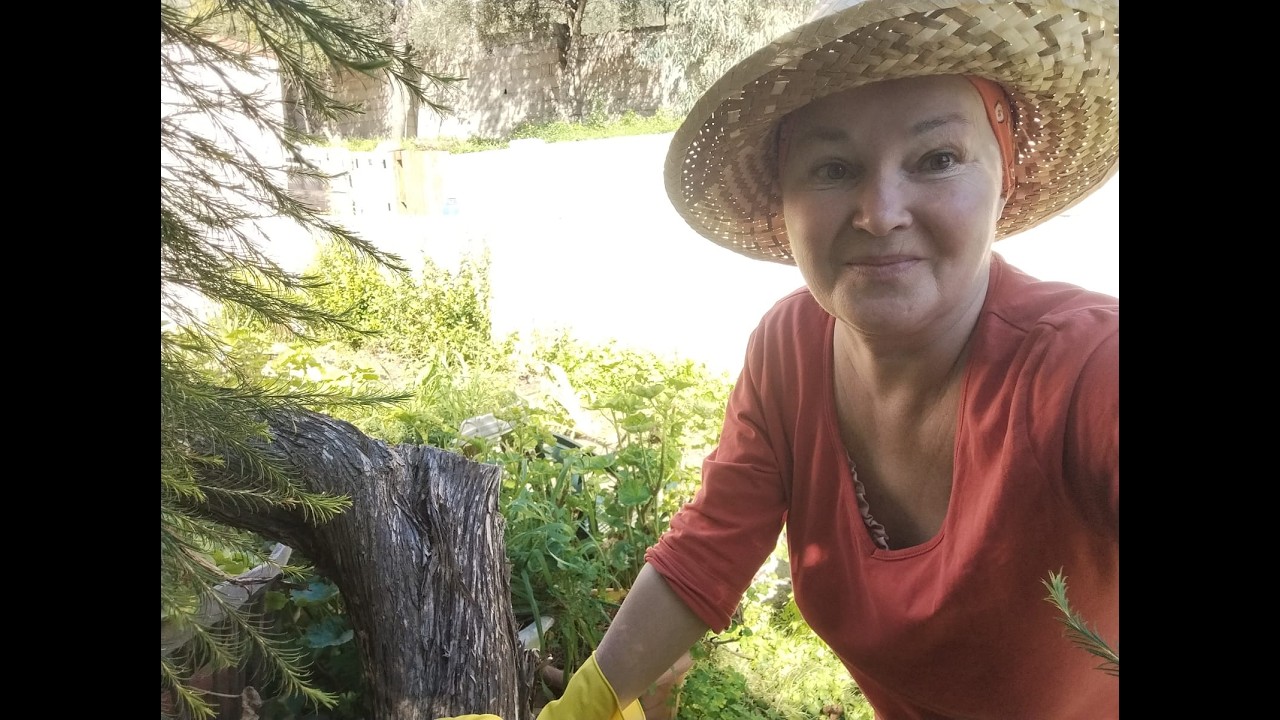 По вторникам - садоводство! Еще рассказываю про странного человека по соседству. Il giardinagio...