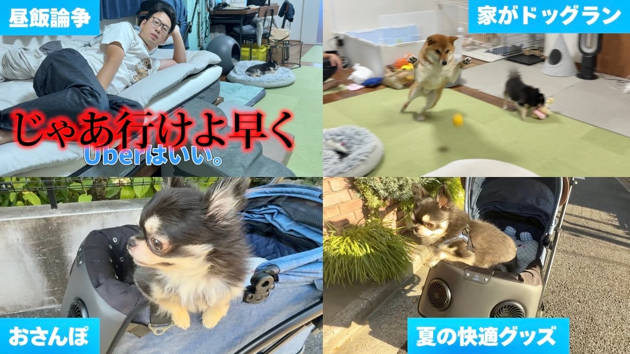 AirBreeze 2 ペット用循環ファンマット – Loobi's JP