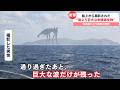 【新作】未確認生物にまつわるニュースがツッコミどころ満載だったwwwwww #3【なろ屋】【ツッコミ】