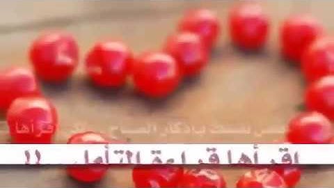 فضل أذكار الصباح والمساء   محمد الشنقيطي