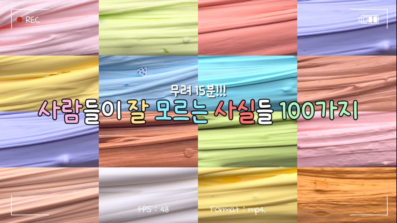 무려 15분! 사람들이 잘 모르는 사실들 100가지 대규모시리즈 대시액 시리즈 시리즈액괴 액괴시리즈 액괴 대규모 #알고리즘 동란