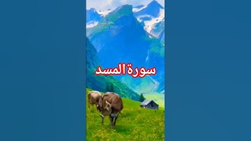 سوره مسد بیانگر سرنوشت یکی از سرسخت‌ترین دشمنان پیامبر اسلام ﷺ است؛ *ابولهب* و همسرش.