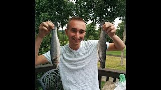 JeromeASF is a Fish