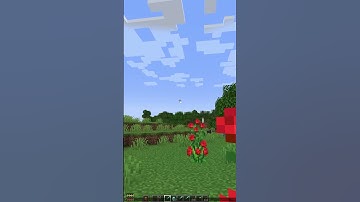 How To Find Your Seed in Minecraft Java Edition