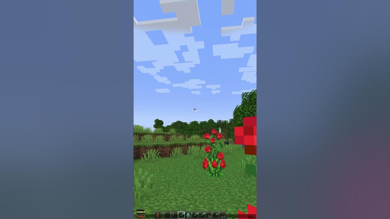 How to find your seed in minecraft java edition youtube