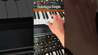 Który bas brzmi najlepiej ? #synth #bass #studiomusic #moog #polyd #prophet6 #sound