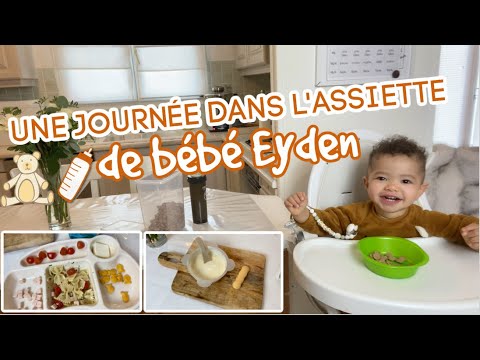 Assiettes repas Bébé 👶- Judy The Fox