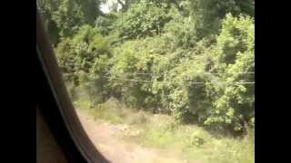 AMTRAK Crescent crossing Black Warrior River Railroad Bridge, Outside Tuscaloosa, Al.