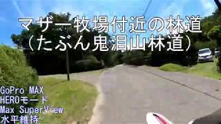 マザー牧場付近の林道（たぶん鬼泪山林道）