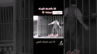 اغنيه على حظي المصخم وين نائم