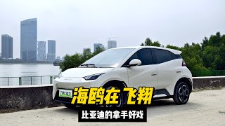 自主品牌终于也有精致小型车了，海鸥就是比亚迪的拿手好戏