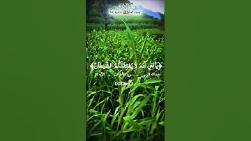 قرأن كريم تخشع له القلوب تلاوة تريح نفسك #تلاوة #قران_كريم #اكسبلور #المصحف #trend #elmulquranعلم