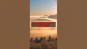 Colorizing Black and White Photos Practical DSLR Techniques