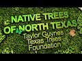 Native Trees of North Texas - Sustainable Landscape Series
