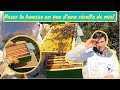 QUAND ET COMMENT POSER UNE HAUSSE SUR SES COLONIES D&#39;ABEILLES EN VUE D&#39;UNE RÉCOLTE DE MIEL ?