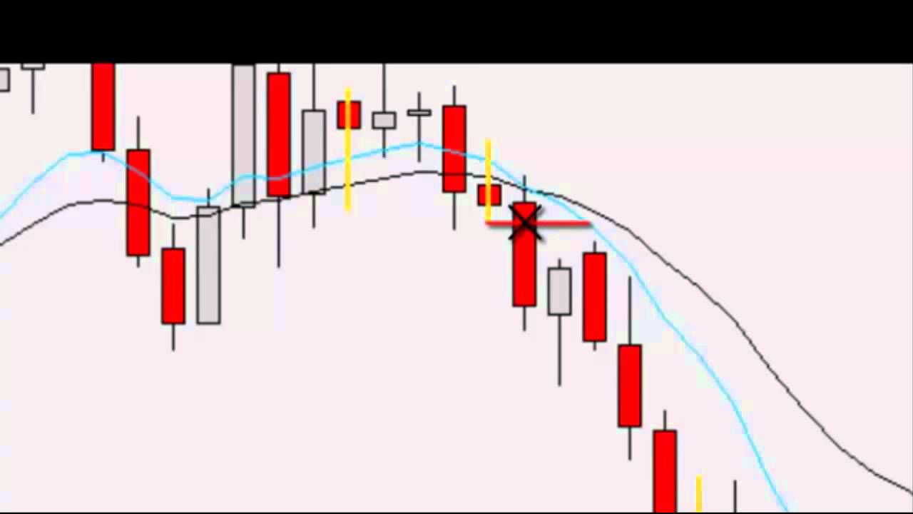 The forex guy price action trading futures socially responsible investing esgm