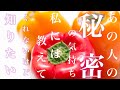 【恋愛】あの人のあなたに対する秘密の気持ち/運命の人はどんな人？【タロット占い】