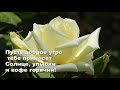 Утро,цветы ,вам    Хорошего дня