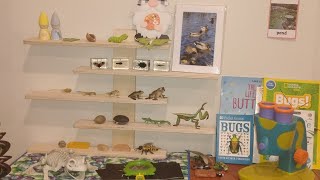 Our Summer Bug/Pond life learning shelf 🐝