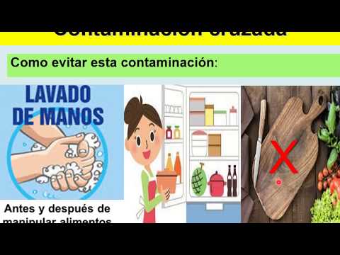 Vídeo: Cambios En Los Comportamientos De Alimentación De Bemisia Tabaci Causados directa E Indirectamente Por El Virus Cucurbitáceo De Los Amarillos Cloróticos