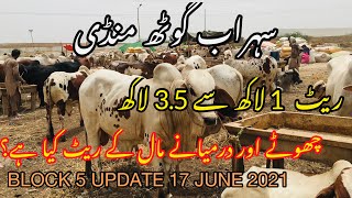 Cattle Prices At Sohrab Goth Mandi | Update 17 June 2021 | Bakra Eid Season 2021