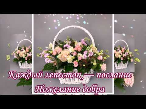 АЛЁНА, КРАСИВЫЙ БУКЕТ ДЛЯ ТЕБЯ! УЛЫБНИСЬ! ЧУДЕСНАЯ МУЗЫКАЛЬНАЯ ОТКРЫТКА ДЛЯ НАСТРОЕНИЯ!