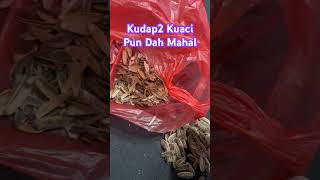 Download Lagu Kuaci pun dah mahal MP3